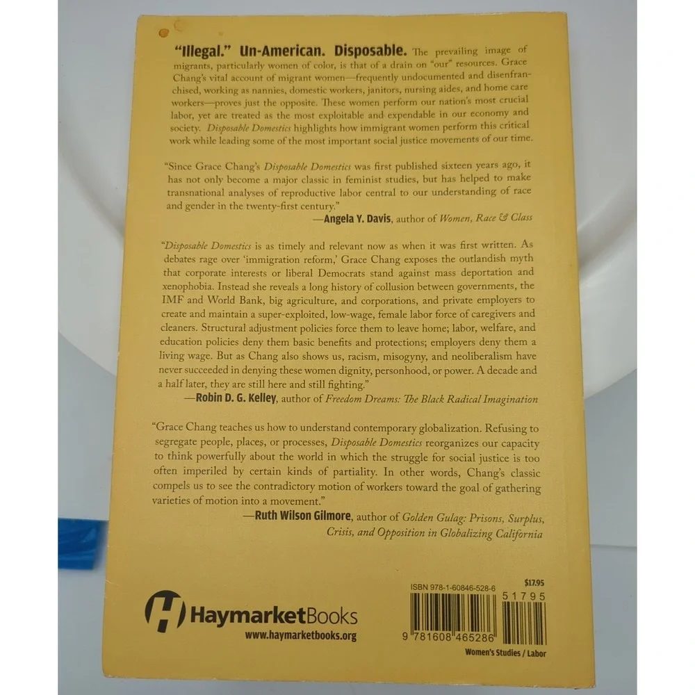 Book Disposable Domestics Immigrant Women‎ Workers In The Global Economy